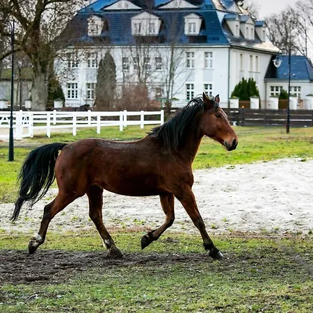 Rancho Kolo Leby Feriegård