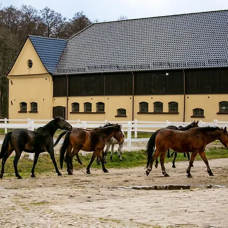 Rancho Koło łeby *